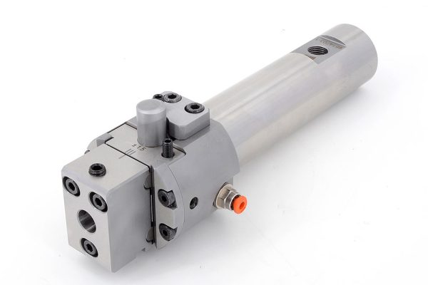 IMGattachments_1000Testina-recessi-spinta_4339